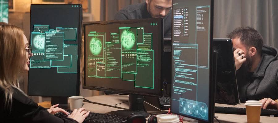 Information Technology (IT)